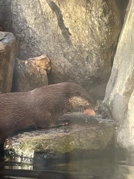 環境水族館アクアマリンふくしまに投稿された画像（2023/12/8）