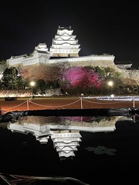 姫路城（イベント）に投稿された画像（2023/12/8）