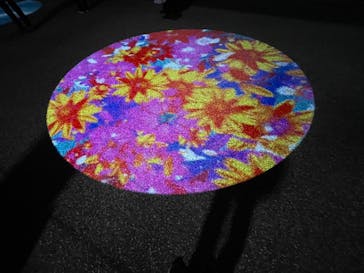 姫路城（イベント）に投稿された画像（2023/12/8）