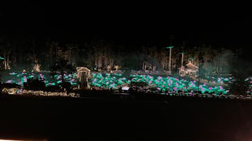 美らヤシパークオキナワ・東南植物楽園に投稿された画像（2023/12/8）