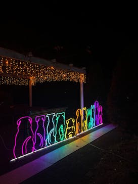 神戸イルミナージュに投稿された画像（2023/12/8）