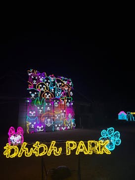 神戸イルミナージュに投稿された画像（2023/12/8）