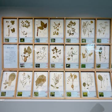 特別展「和食 ～日本の自然、人々の知恵～」に投稿された画像（2023/12/8）