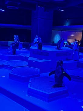 AOAO SAPPOROに投稿された画像（2023/12/8）