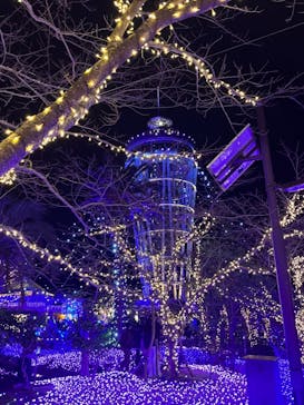 江の島シーキャンドルに投稿された画像（2023/12/8）