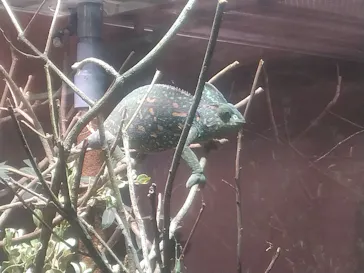 マクセル アクアパーク品川に投稿された画像（2023/12/8）