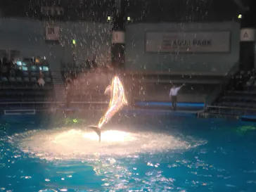 マクセル アクアパーク品川に投稿された画像（2023/12/8）