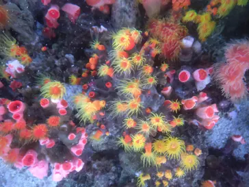 マクセル アクアパーク品川に投稿された画像（2023/12/8）