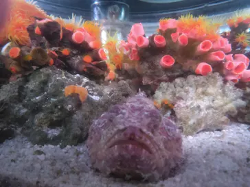 マクセル アクアパーク品川に投稿された画像（2023/12/8）