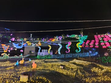 伊豆ぐらんぱる公園に投稿された画像（2023/12/8）