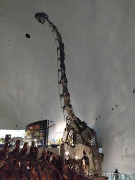 福井県立恐竜博物館に投稿された画像（2023/12/9）