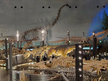 福井県立恐竜博物館に投稿された画像（2023/12/9）