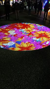 姫路城（イベント）に投稿された画像（2023/12/9）