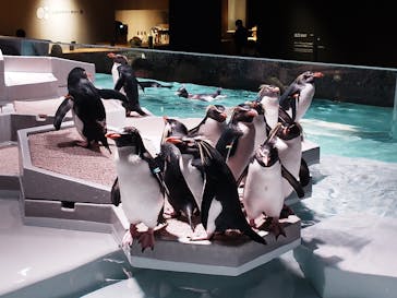 AOAO SAPPOROに投稿された画像（2023/12/9）