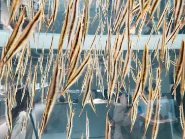 AOAO SAPPOROに投稿された画像（2023/12/9）