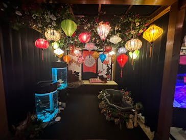 NARA KINGYO MUSEUMに投稿された画像（2023/12/9）