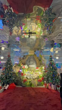 NARA KINGYO MUSEUMに投稿された画像（2023/12/9）