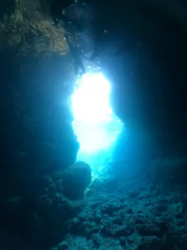 武藤潜水に投稿された画像（2023/12/9）