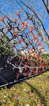 彫刻の森美術館に投稿された画像（2023/12/9）