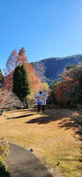 彫刻の森美術館に投稿された画像（2023/12/9）