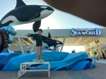 鴨川シーワールドに投稿された画像（2023/12/9）