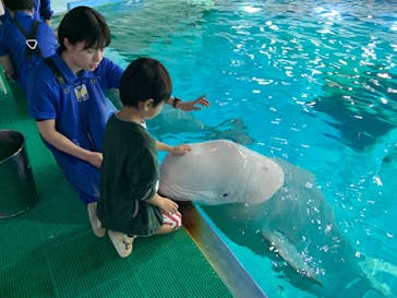 鴨川シーワールドに投稿された画像（2023/12/9）