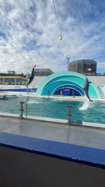 鴨川シーワールドに投稿された画像（2023/12/9）