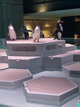 AOAO SAPPOROに投稿された画像（2023/12/9）