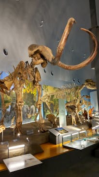 福井県立恐竜博物館に投稿された画像（2023/12/9）