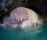 宮古島 ADVENTURE PiPi（ミヤコジマ アドベンチャー ピピ）に投稿された画像（2023/12/9）