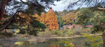 ムーミンバレーパークに投稿された画像（2023/12/9）