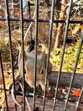 環境水族館アクアマリンふくしまに投稿された画像（2023/12/9）