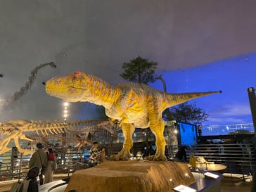 福井県立恐竜博物館に投稿された画像（2023/12/9）