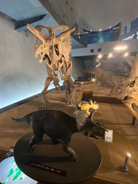 福井県立恐竜博物館に投稿された画像（2023/12/9）