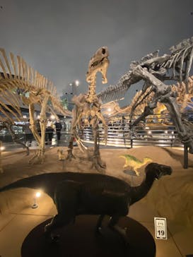 福井県立恐竜博物館に投稿された画像（2023/12/9）