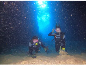 武藤潜水に投稿された画像（2023/12/9）