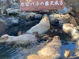 伊豆シャボテン動物公園に投稿された画像（2023/12/9）
