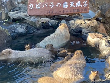 伊豆シャボテン動物公園に投稿された画像（2023/12/9）