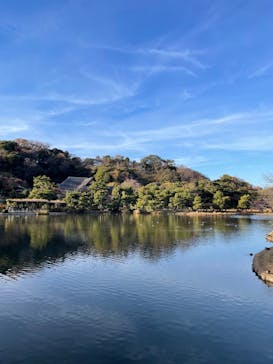 三溪園に投稿された画像（2023/12/9）