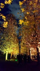 NAKED 紅葉の新宿御苑2023に投稿された画像（2023/12/9）