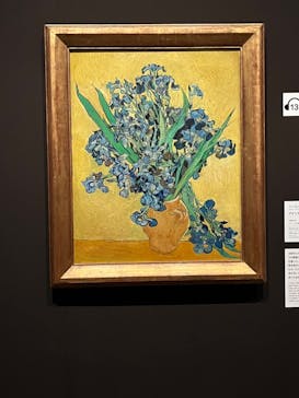 ゴッホと静物画　伝統から革新へ（SＯＭＰＯ美術館）に投稿された画像（2023/12/9）