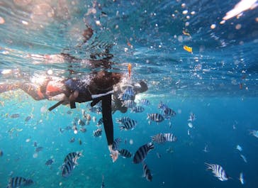 青の洞窟専門店　沖縄ダイビングショップ和に投稿された画像（2023/12/9）