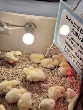 アニタッチ MARK IS 静岡に投稿された画像（2023/12/9）