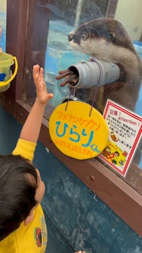 ゼロ距離水族館 伊勢シーパラダイスに投稿された画像（2023/12/9）