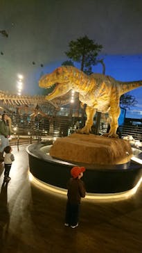 福井県立恐竜博物館に投稿された画像（2023/12/9）