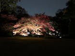 六義園に投稿された画像（2023/12/9）