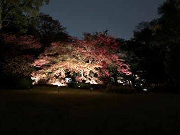 六義園に投稿された画像（2023/12/9）