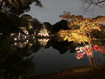 六義園に投稿された画像（2023/12/9）