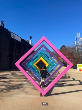 彫刻の森美術館に投稿された画像（2023/12/9）