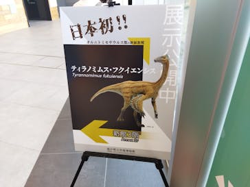 福井県立恐竜博物館に投稿された画像（2023/12/9）